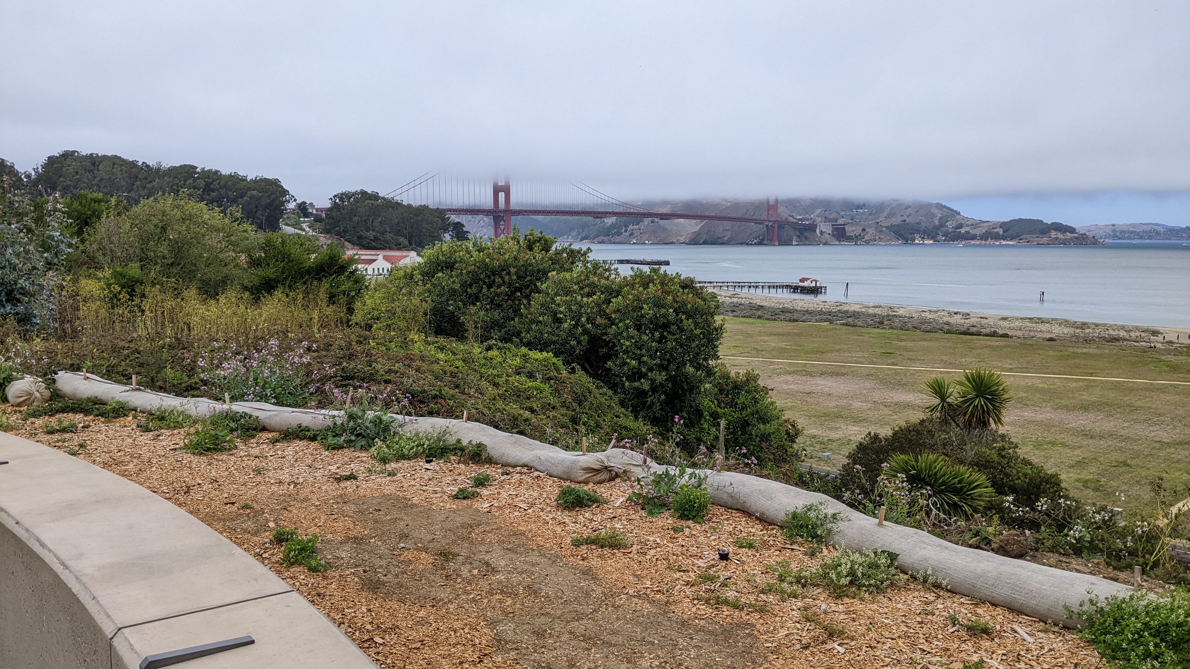 View of the Golden Gate Bridge shrouded in fog